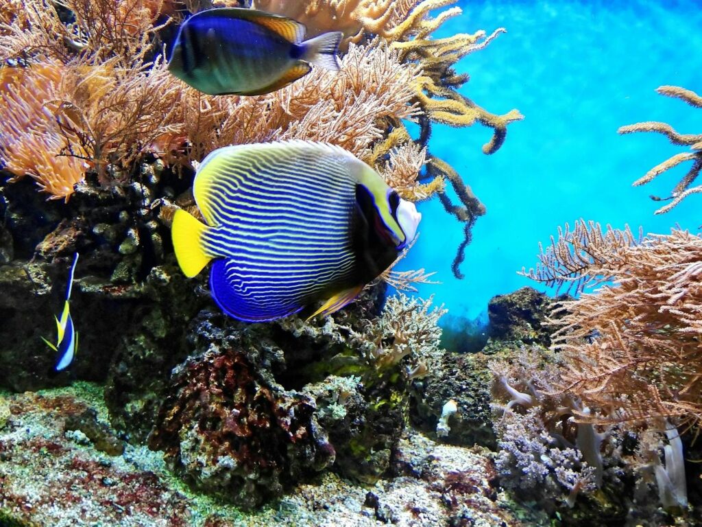 thumb_16774582_cover_header